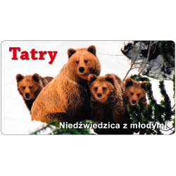 Magnes 98x53 mm TATRY - Niedźwiedzica z młodymi niedźwiadkami w okolicy Morskiego Oka